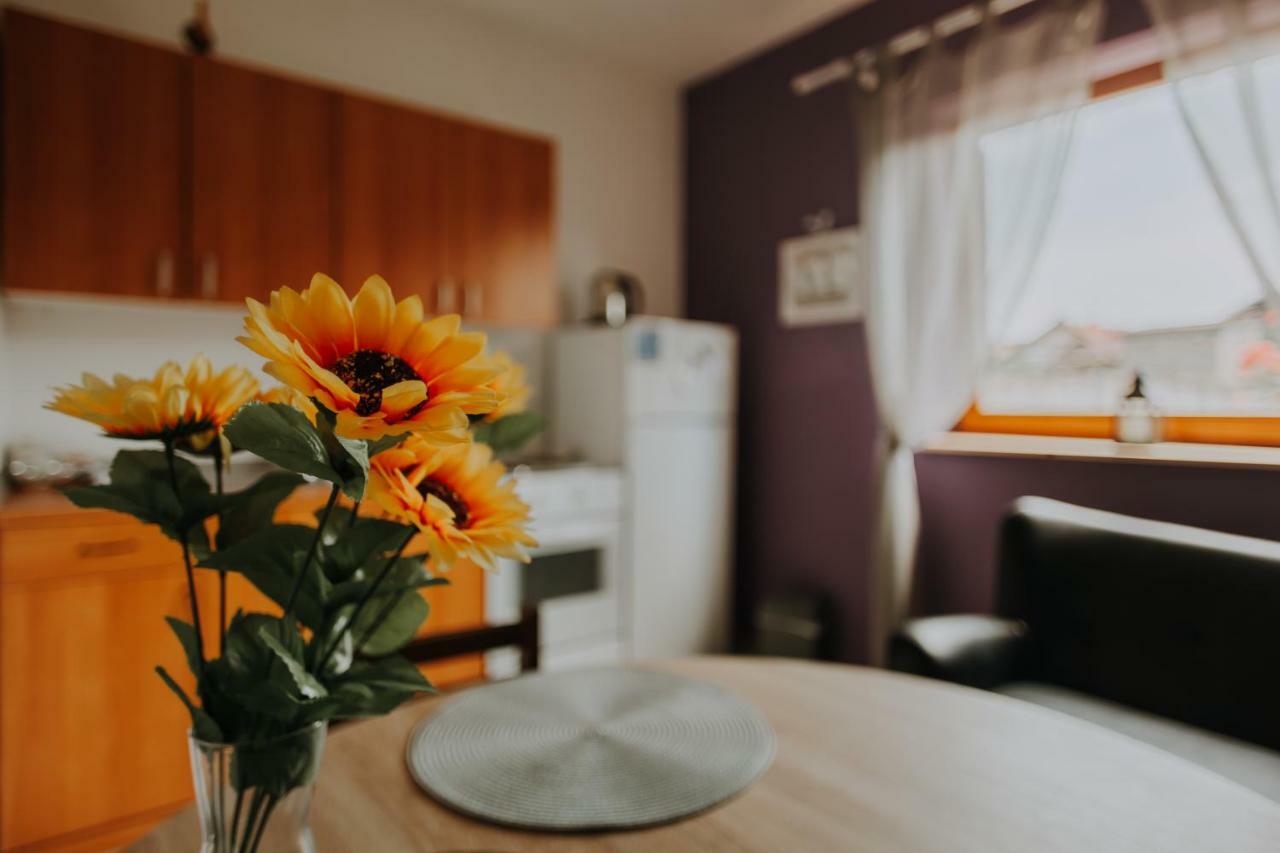 Apartmani Marin فوكوفار المظهر الخارجي الصورة